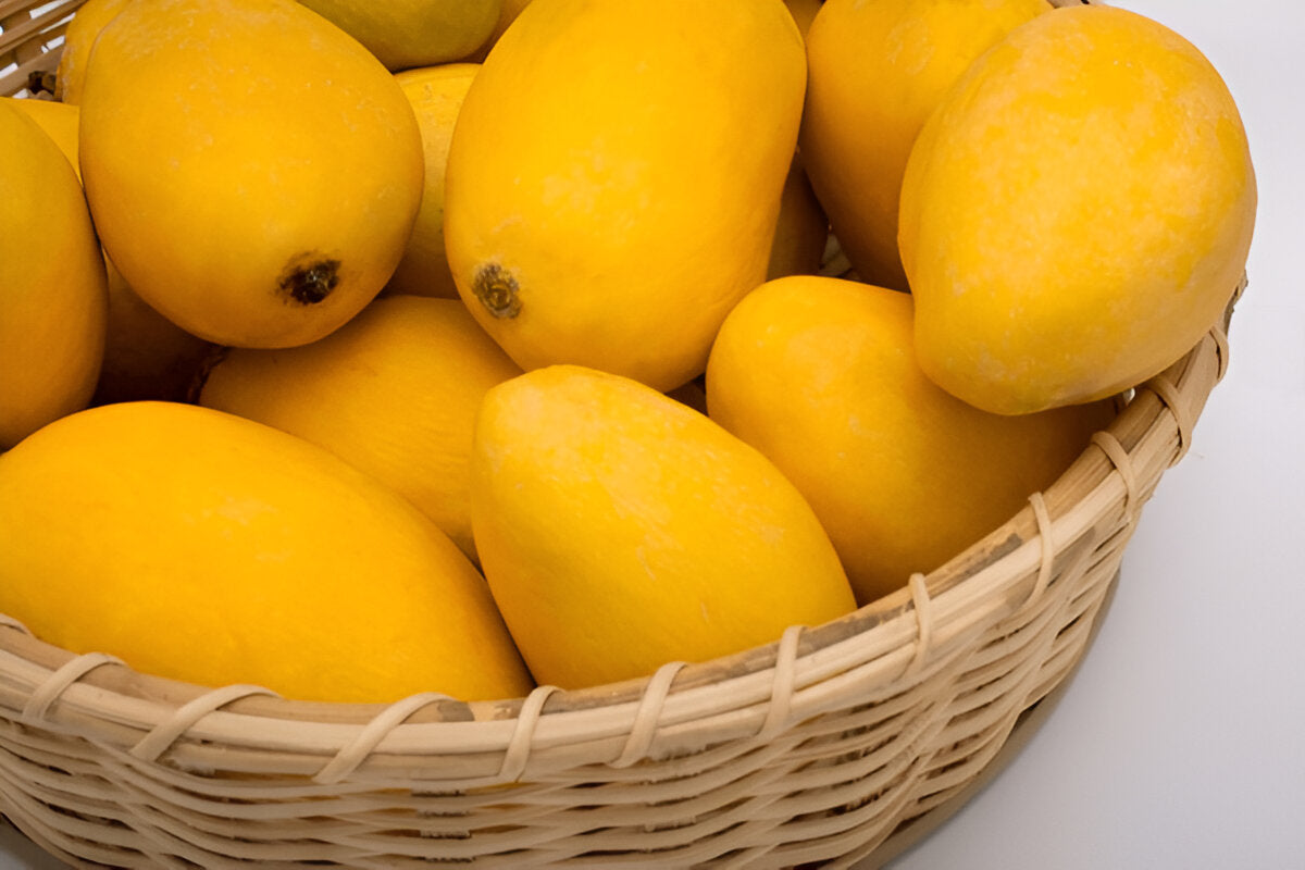 Chaunsa Mango (The King of Flavor)