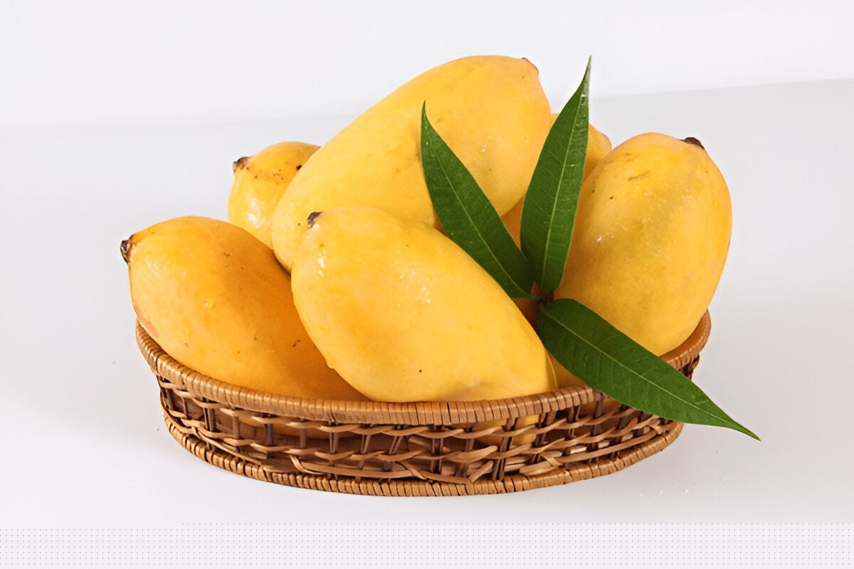 Sindhri Mango (The Queen Of Mangos)