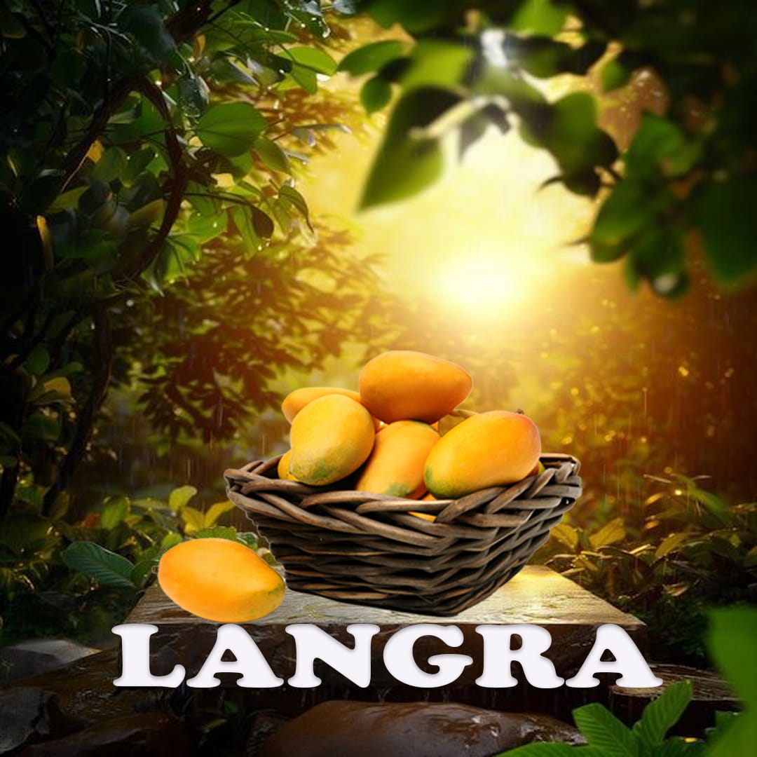 Langra Mango (Tangy & Unique)