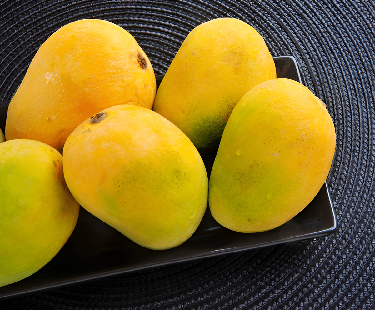 Sindhri Mango (The Queen Of Mangos)
