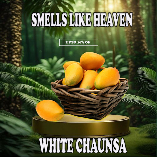 Chaunsa Mango (The King of Flavor)